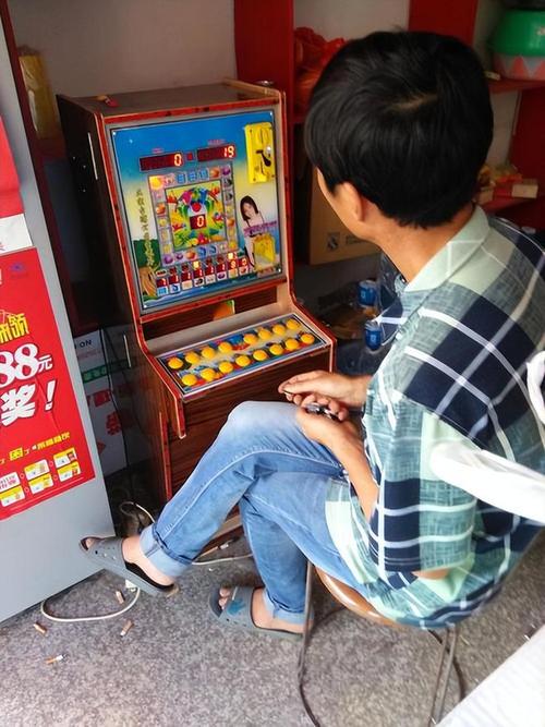 TP电游嗨放企鹅模拟器带你体验南极萌趣生存大冒险